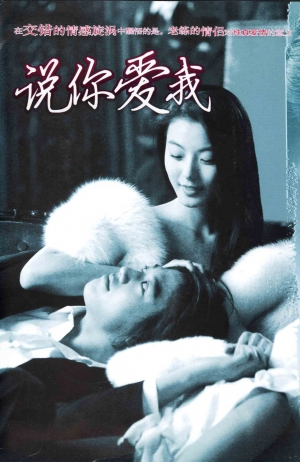 说你爱我全集
