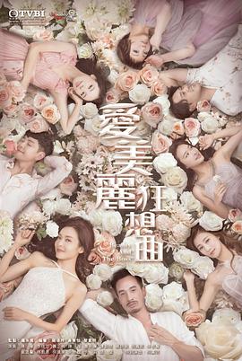 爱美丽狂想曲粤语全集