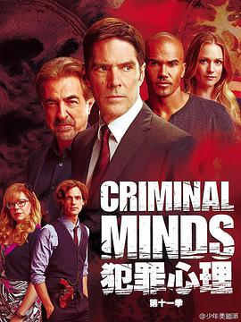 犯罪心理 第十一季全集