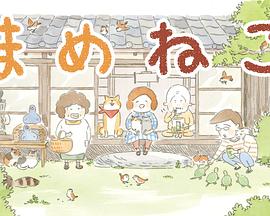 豆豆猫全集