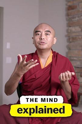 头脑解密第二季全集