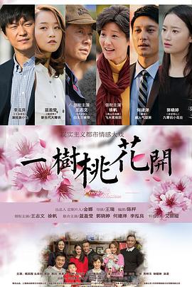 一树桃花开王志文版全集
