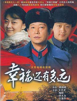 幸福还有多远王志文版全集