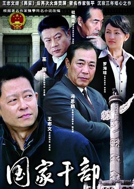 国家干部王志文版全集