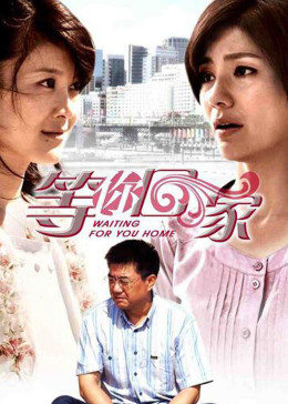 我在等你回家全集