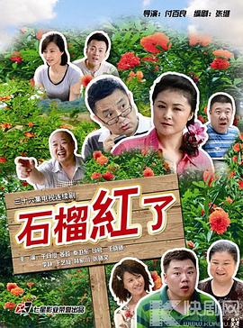 火红的日子全集