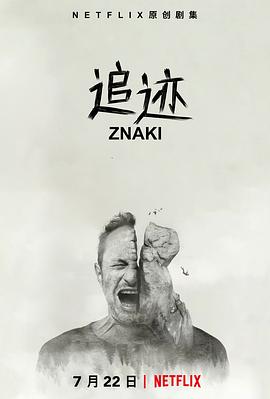 追迹全集