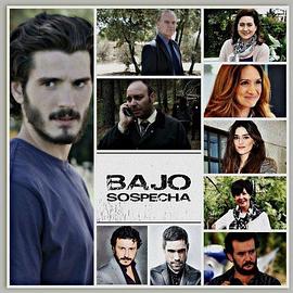 嫌疑之下第二季全集