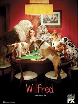 犬友笑传第三季全集