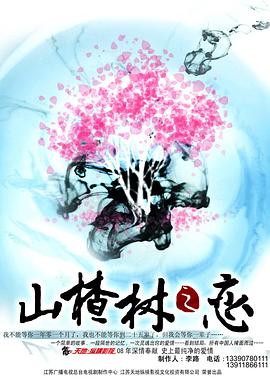 山楂树之恋2011全集