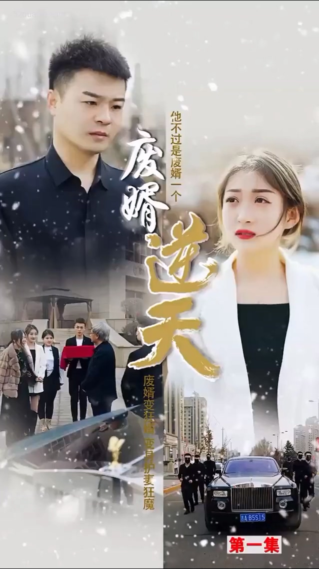 废婿逆天合集版全集
