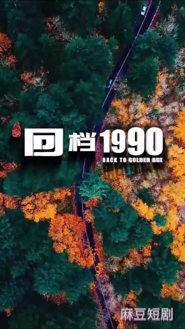 回档1990合集版全集