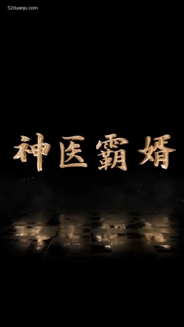 神医霸婿合集版全集