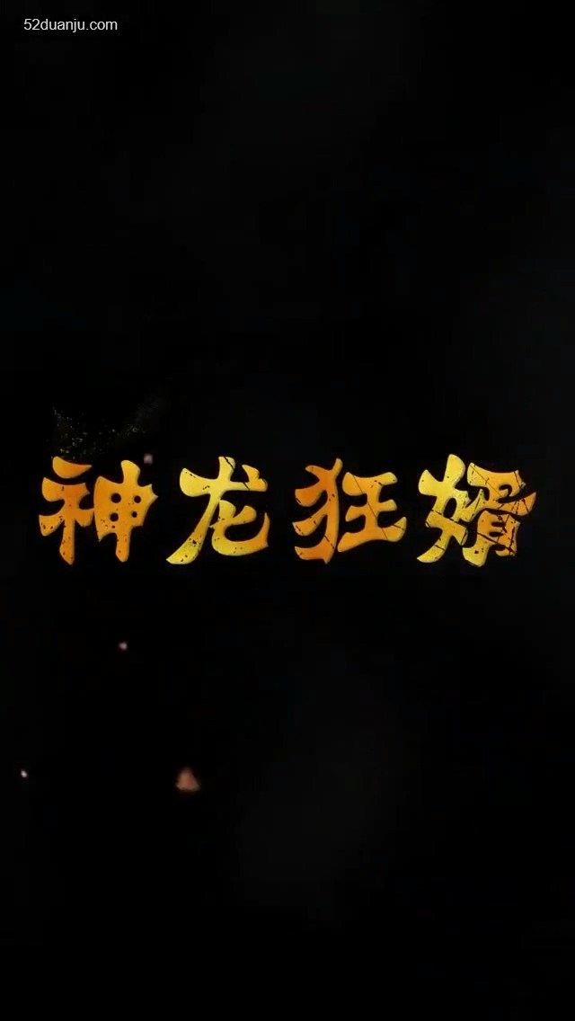 神龙狂婿合集版全集