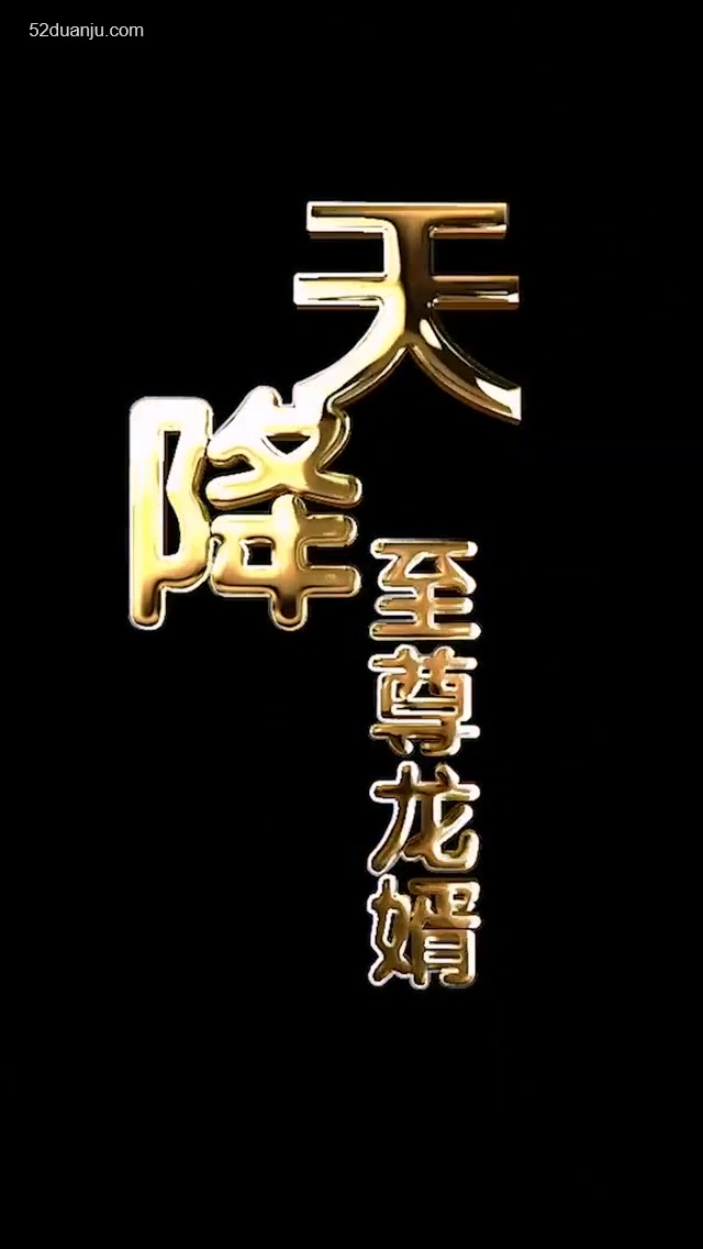 天降至尊龙婿合集版全集