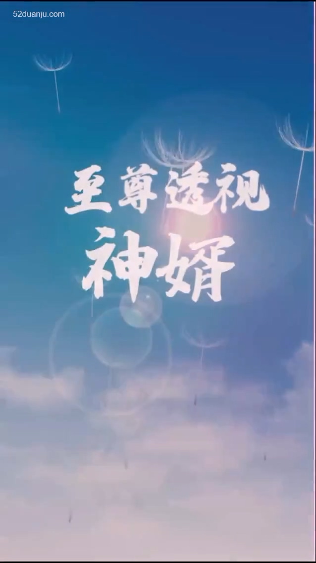至尊透视神婿合集版全集