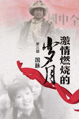 激情燃烧的岁月3全集