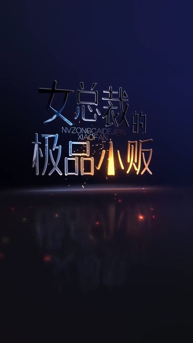 女总裁的极品小贩全集