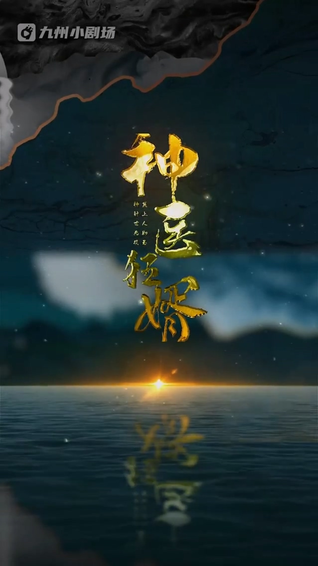 神医狂婿全集