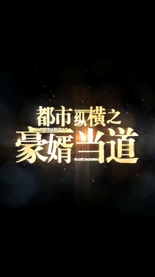 都市纵横之豪婿当道全集