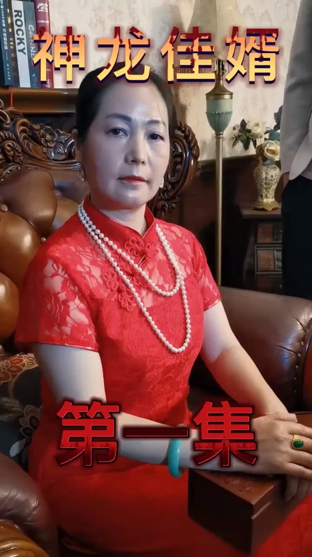 神龙佳婿全集