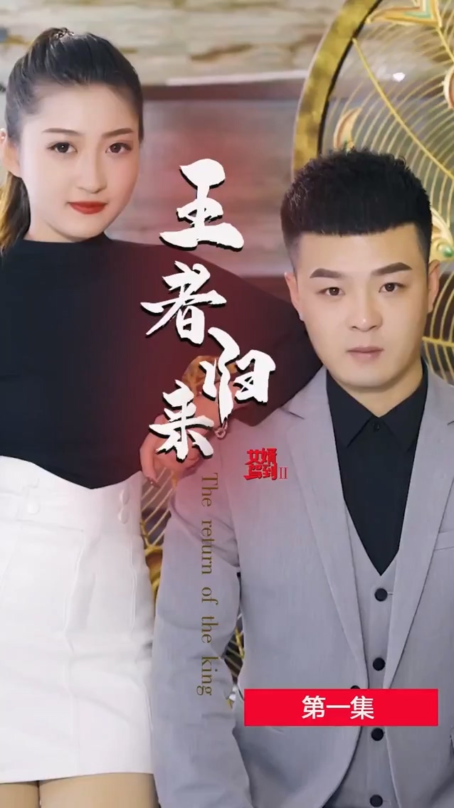 女婿驾到2王者归来全集