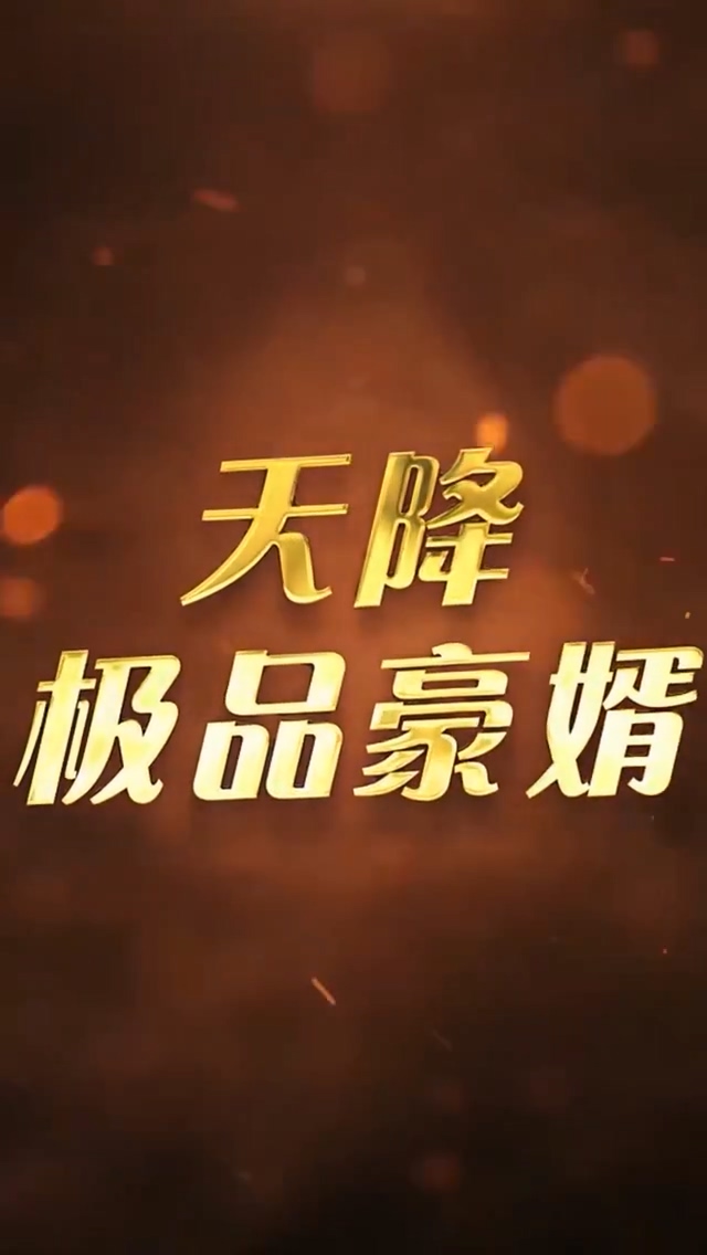 天降极品豪婿全集