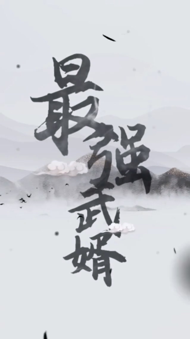 最强武婿全集