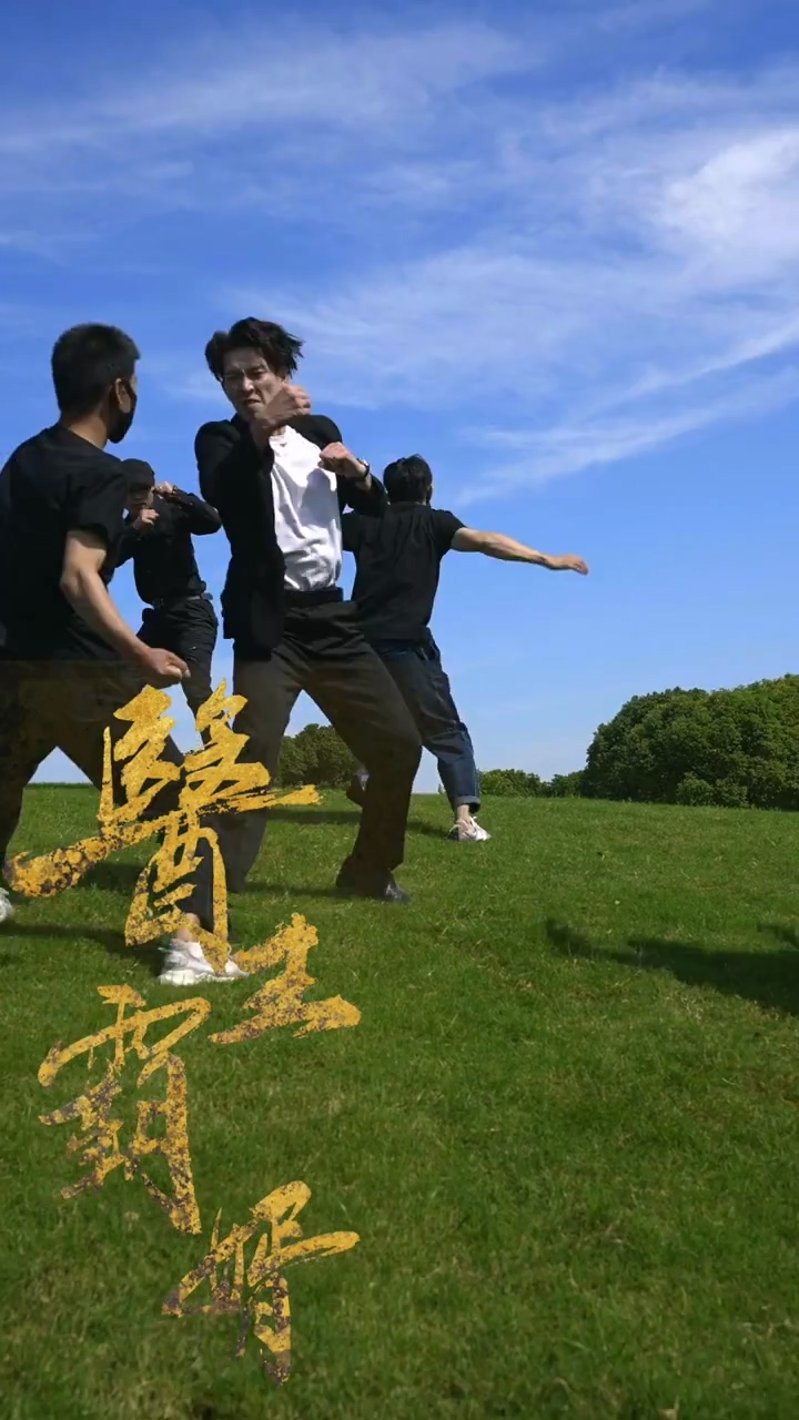 医王霸婿全集