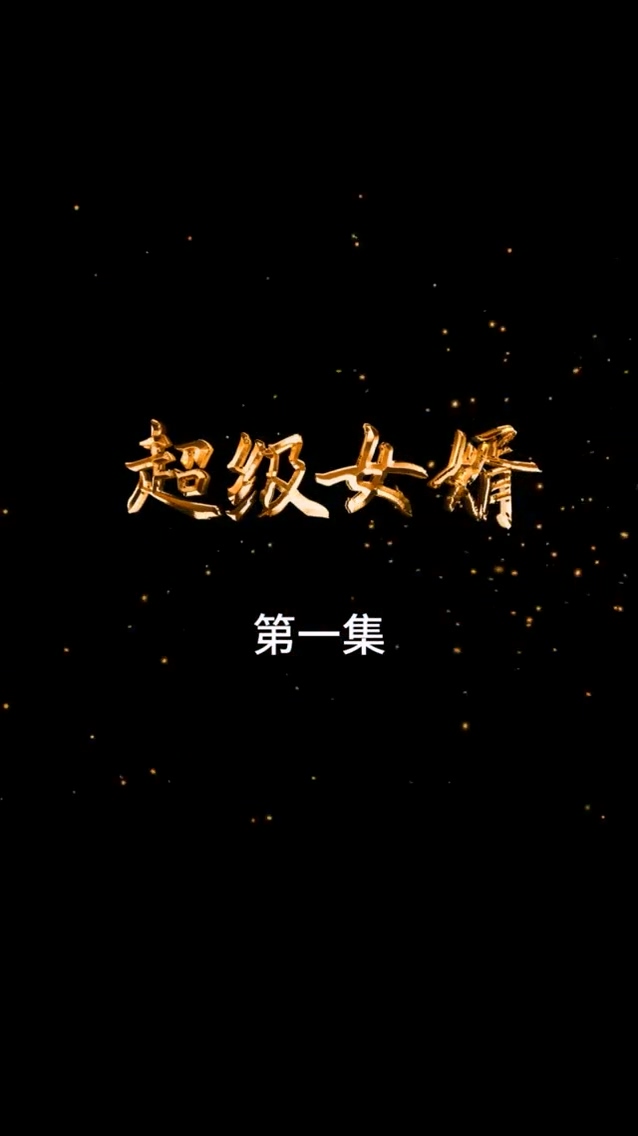 超级女婿全集