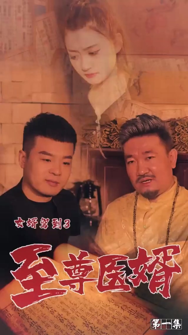 女婿驾到3全集