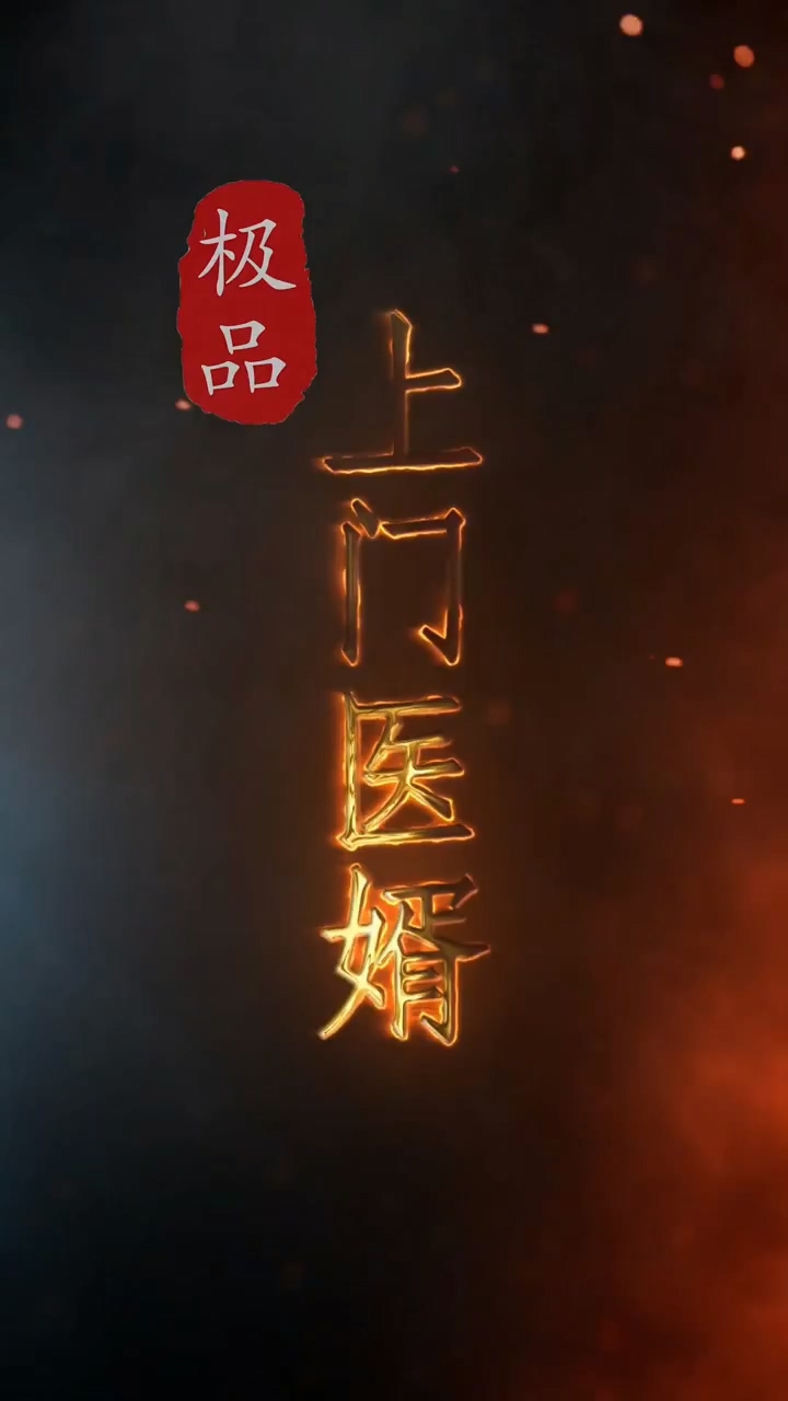 极品上门医婿全集