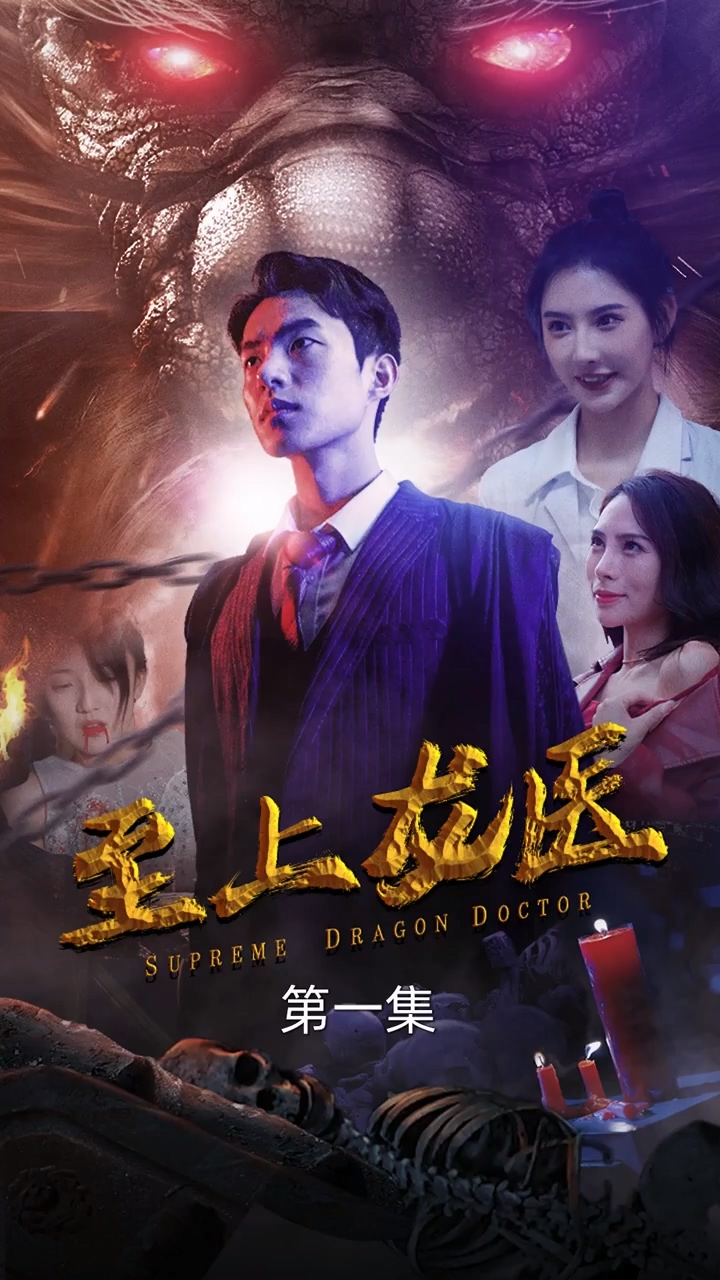 至上龙医全集