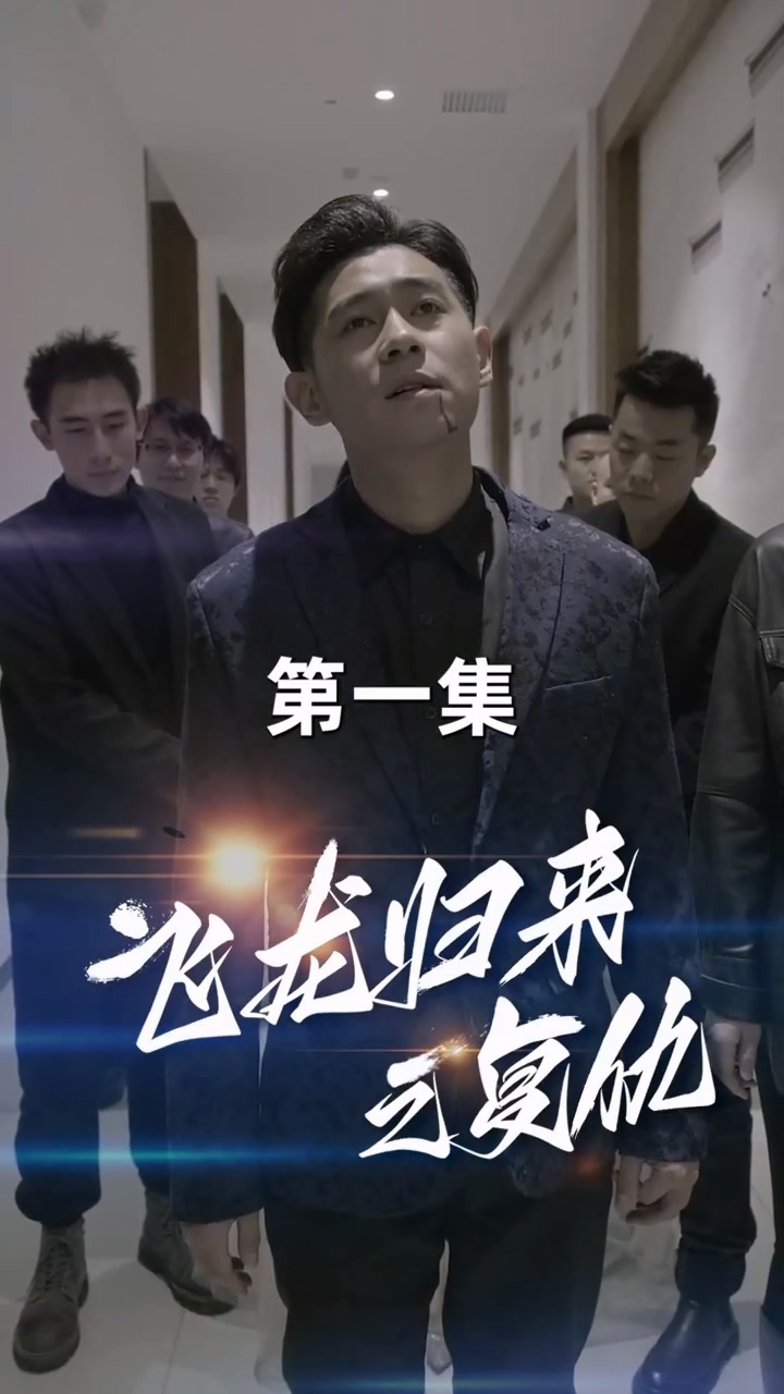 飞龙归来全集