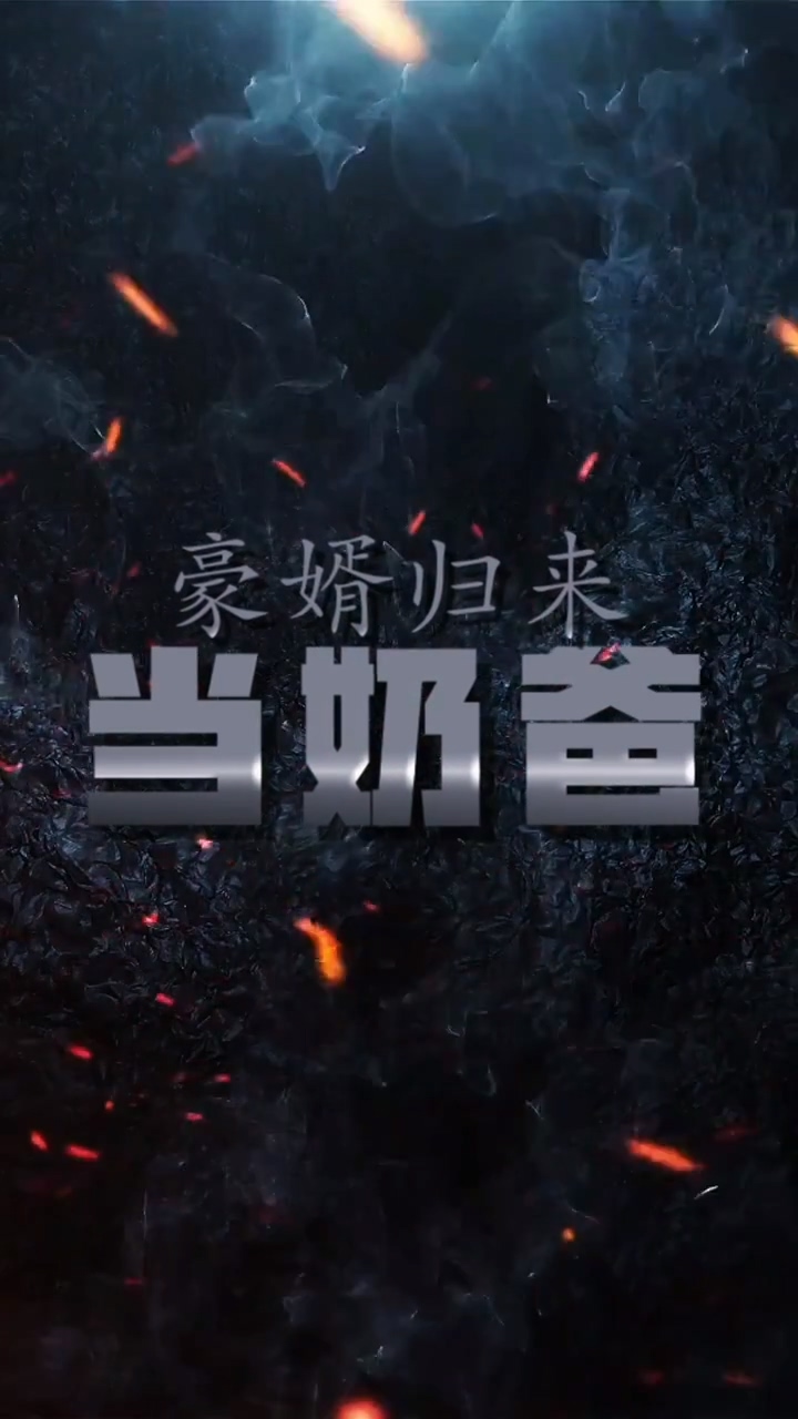 豪婿归来当奶爸全集