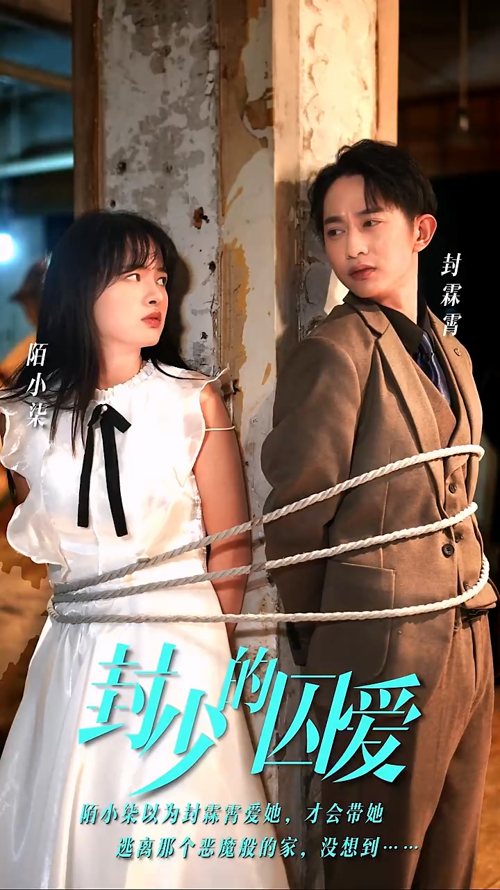 封少的囚爱全集