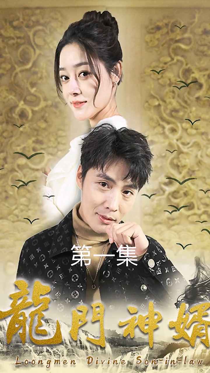 龙门神婿全集