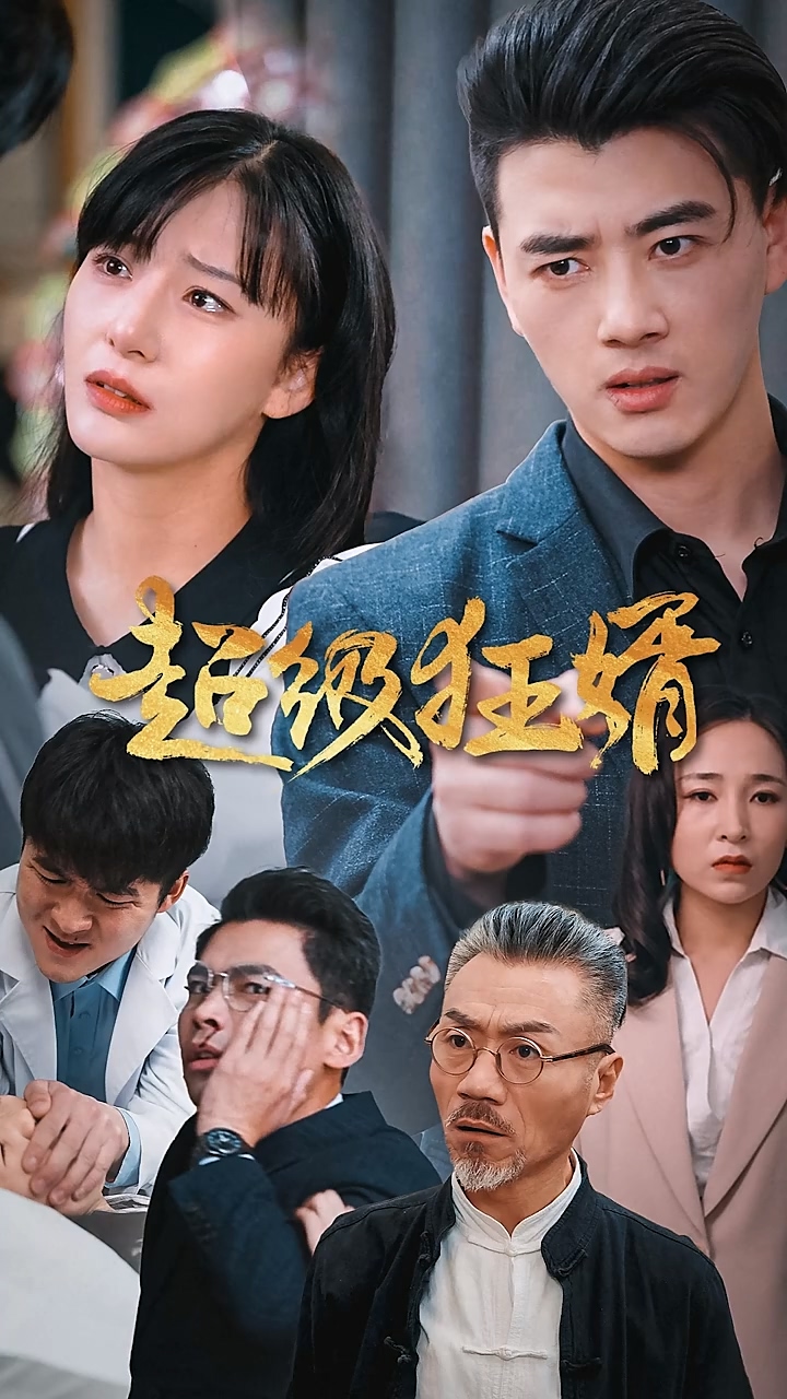 超级狂婿全集