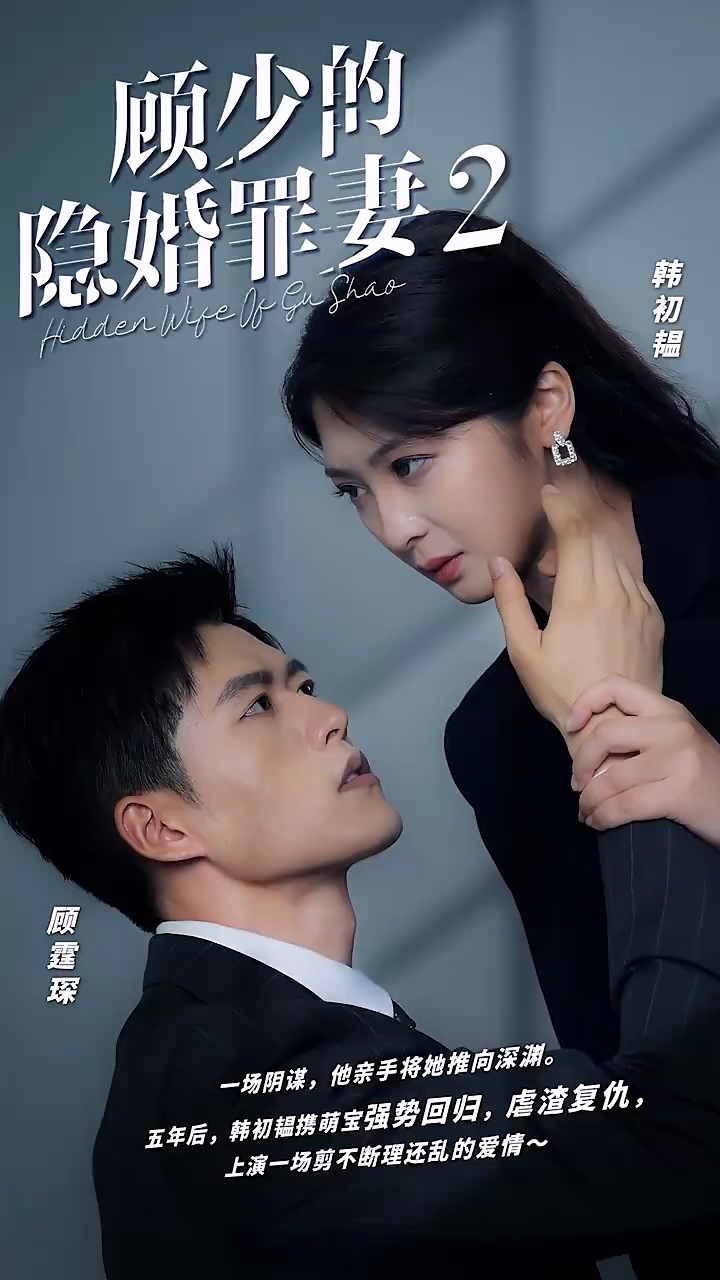 顾少的隐婚罪妻2全集