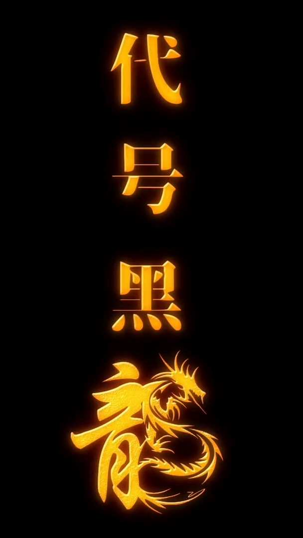 代号黑龙全集