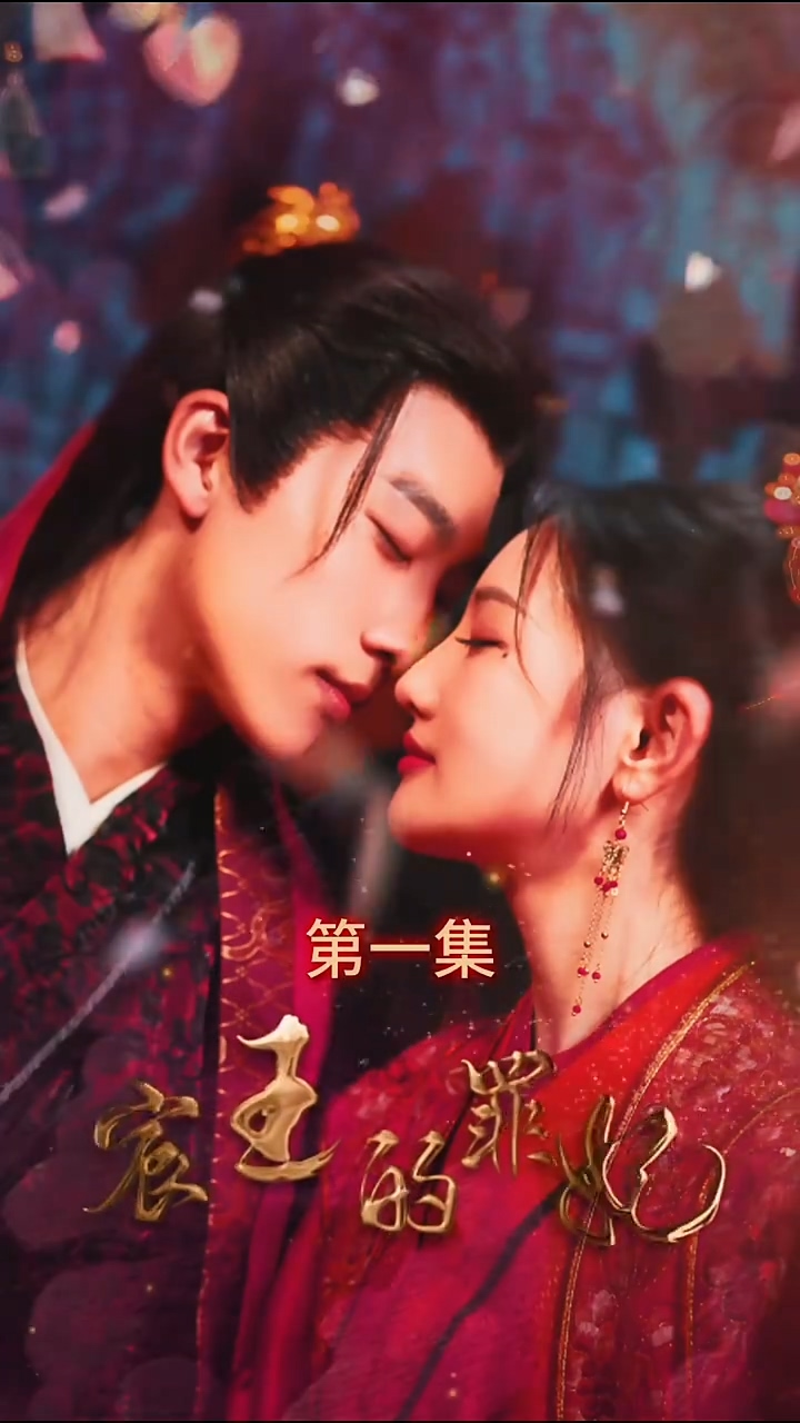 宸王的罪妃全集