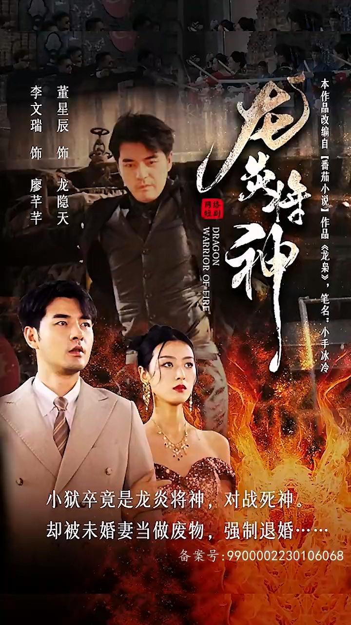 龙炎将神全集