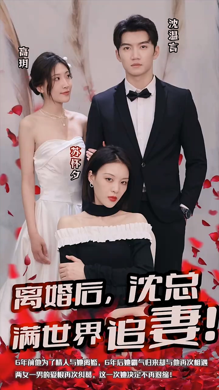 离婚后，沈总满世界追妻全集