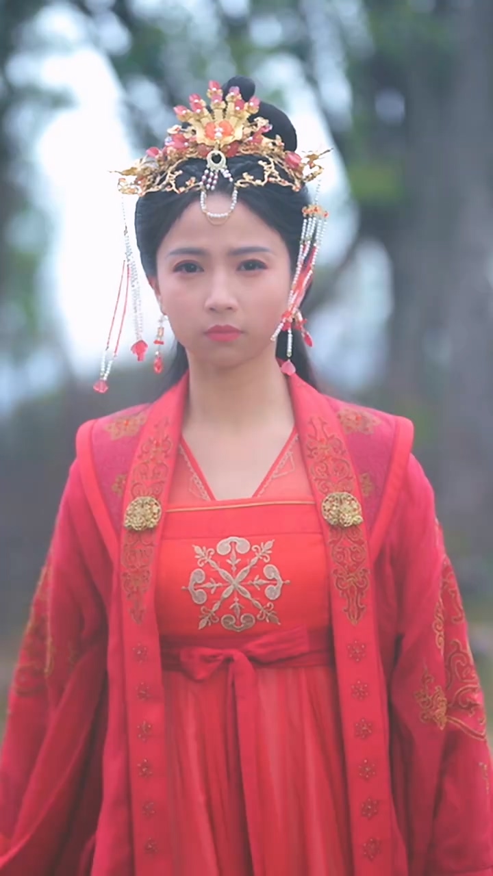 双面赘婿不好惹全集