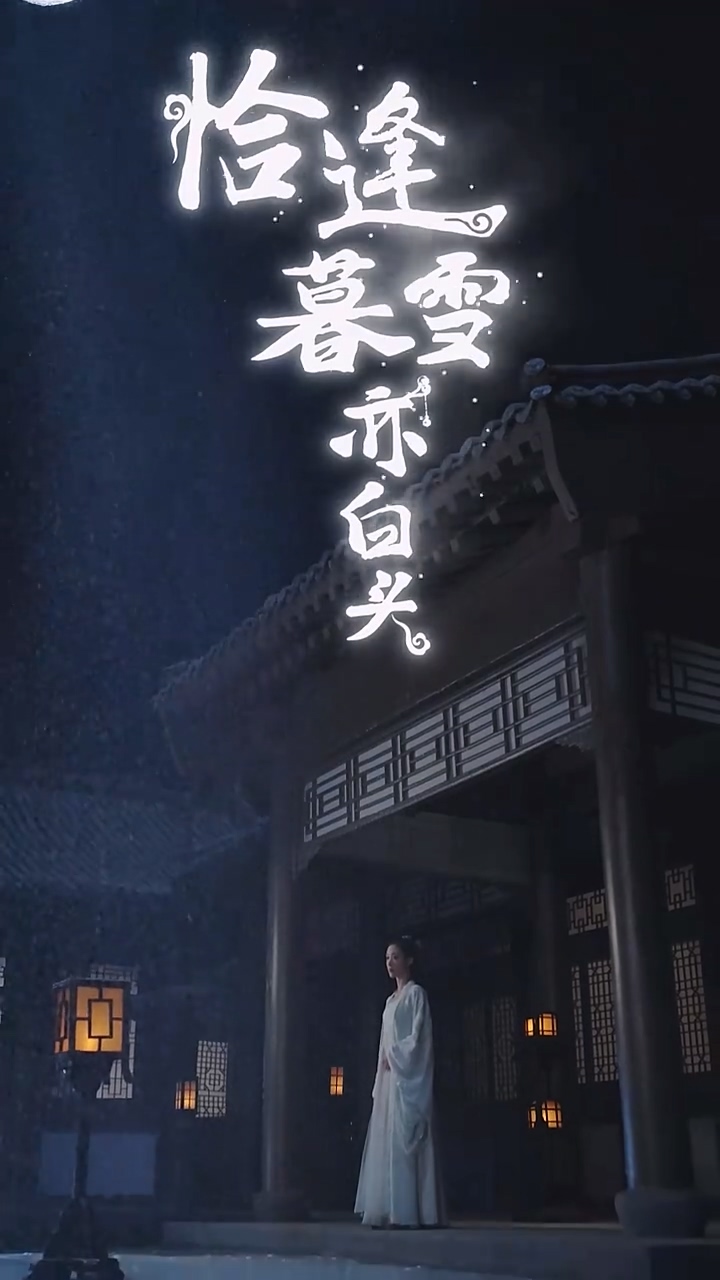 恰逢暮雪亦白头全集