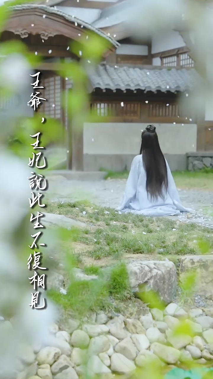 王爷，王妃说此生不复相见全集