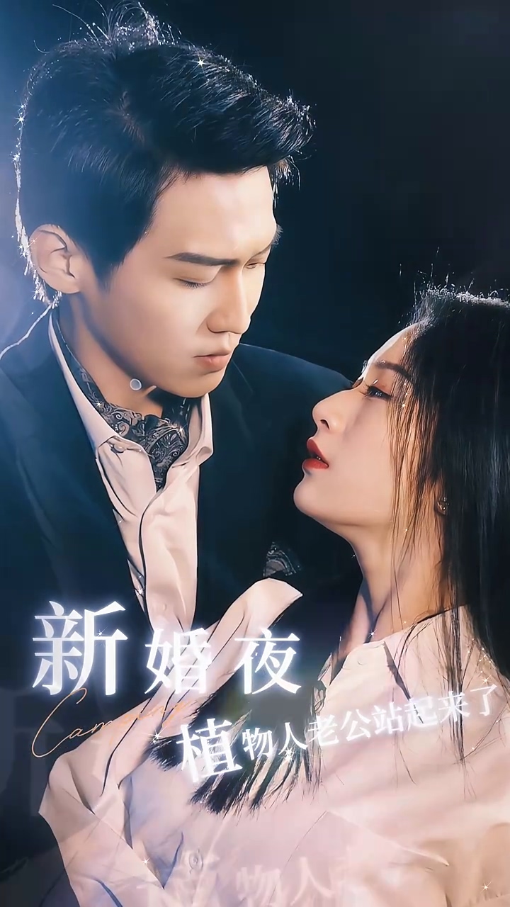 新婚夜，植物人老公站起来了全集