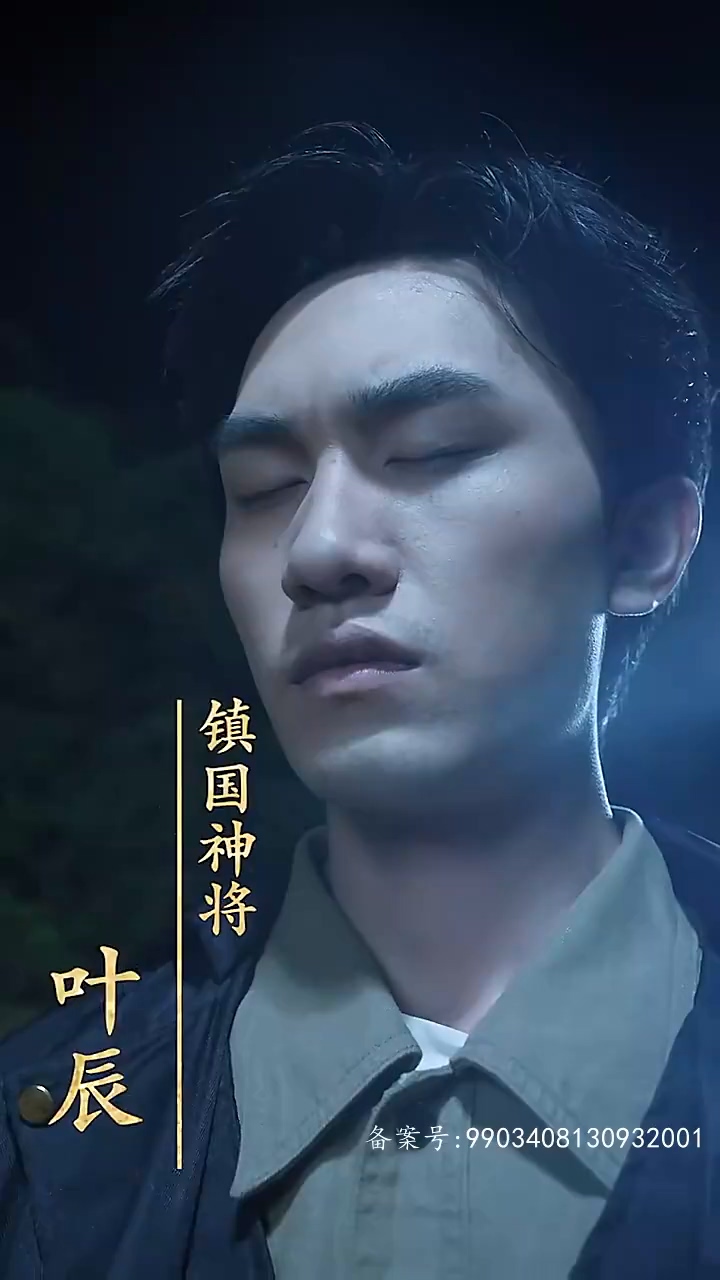 镇国神将全集