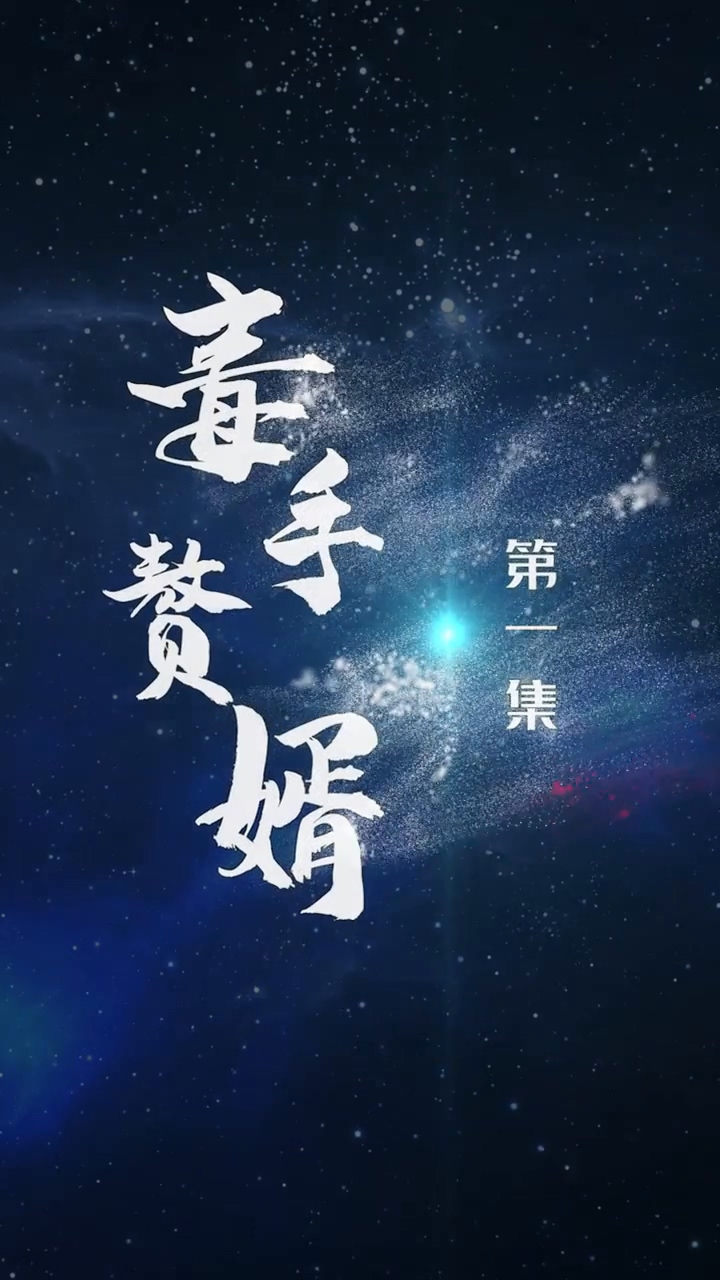 毒手赘婿全集