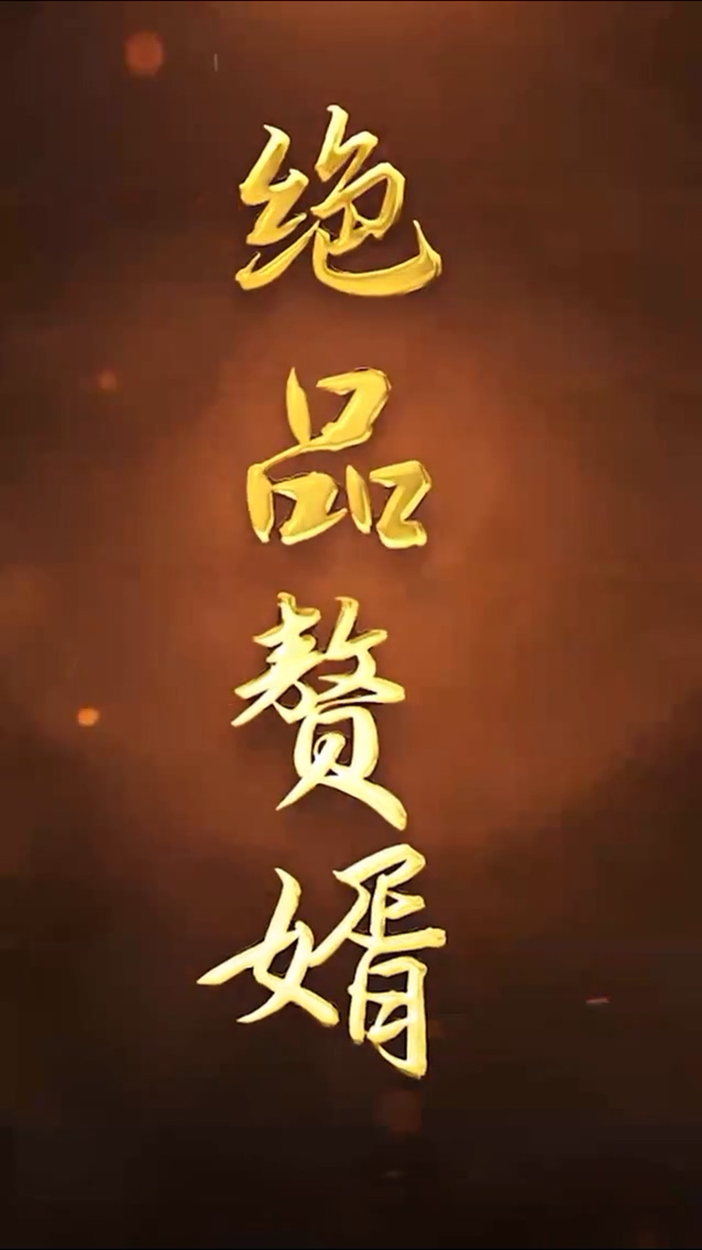 绝品赘婿全集
